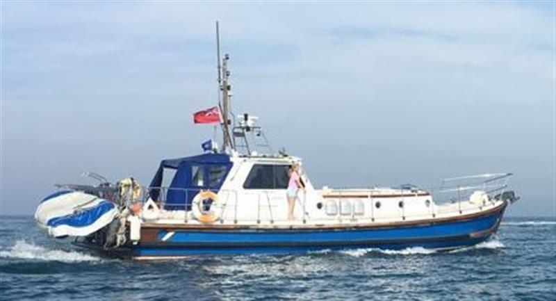 Nelson  40 